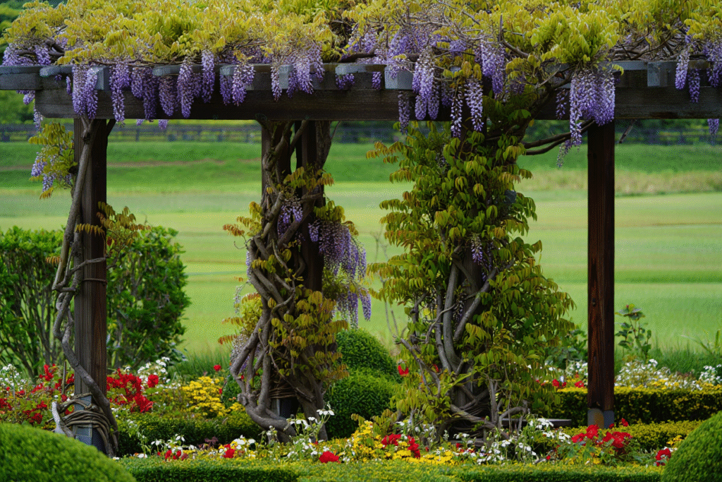 Landscaped Outdoor Pine Structures