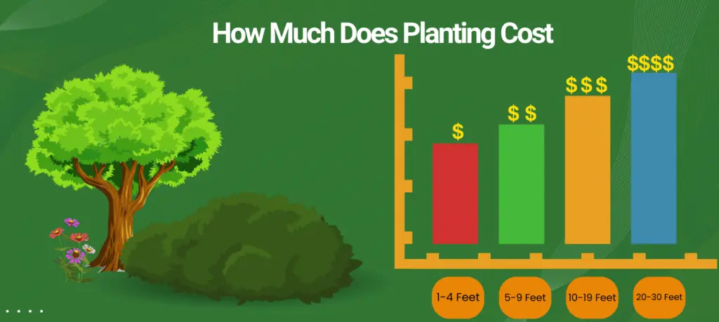 Height Impact on Tree Pricing